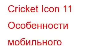 Cricket Icon 11 Особенности мобильного телефона